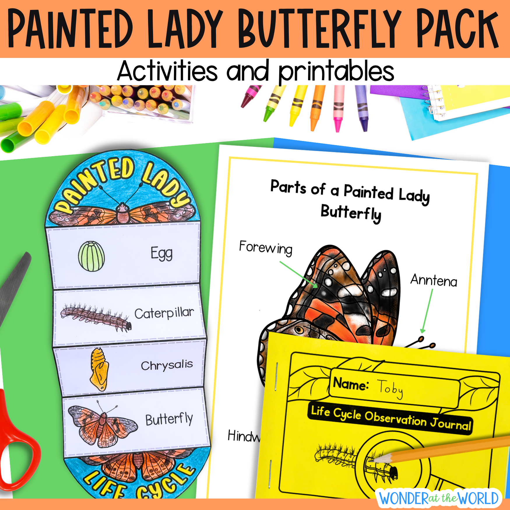 Painted lady butterfly caterpillar life cycle observation journal worksheets