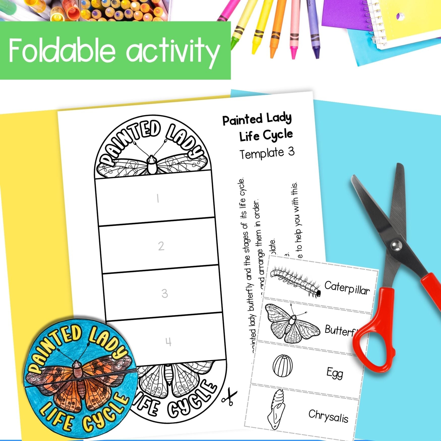 Painted lady butterfly caterpillar life cycle observation journal worksheets