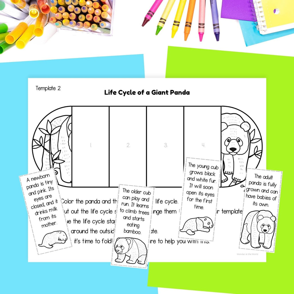 Giant panda life cycle sequence and fold science craft activity