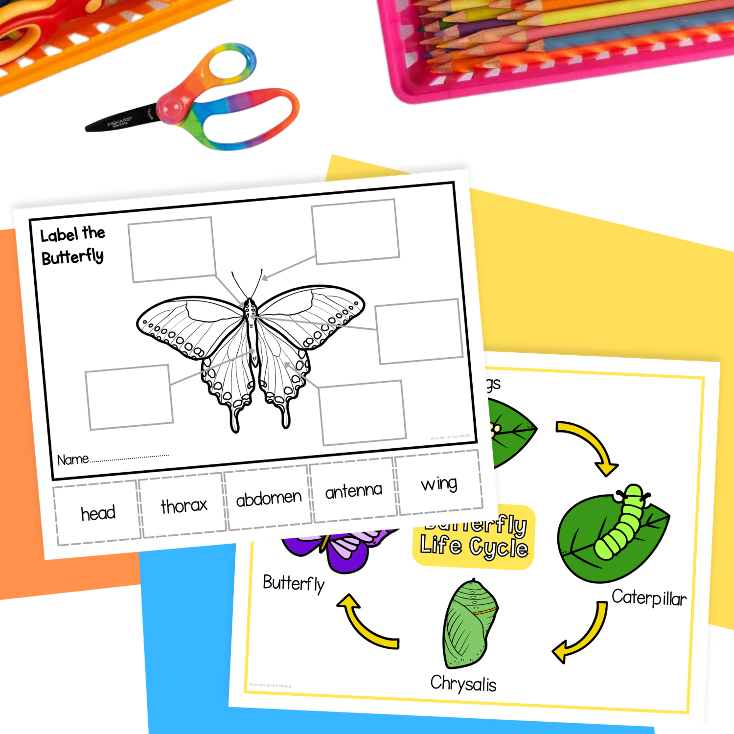 Butterfly life cycle sequence and fold science craft activity