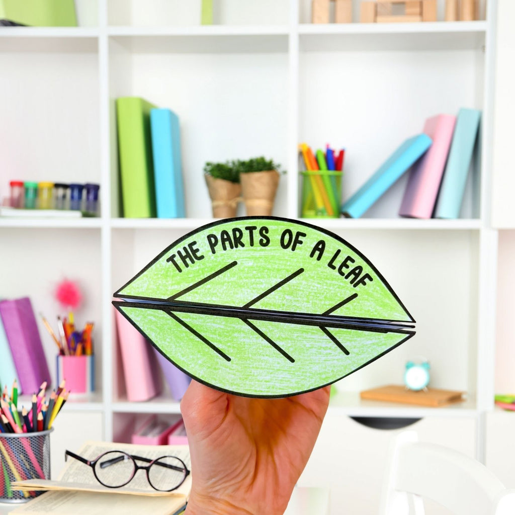 Parts of a leaf cut and paste folding worksheet craft activity