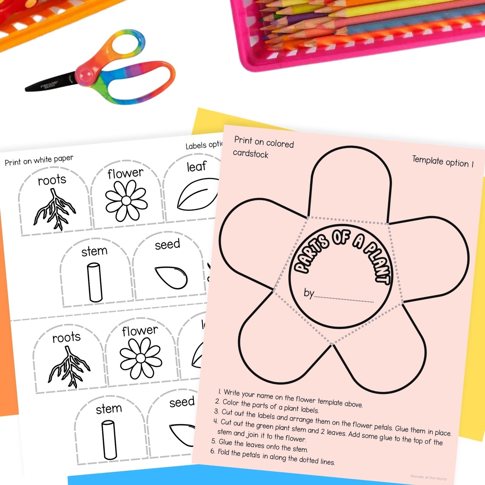 Parts of a plant flower craft activity and worksheet