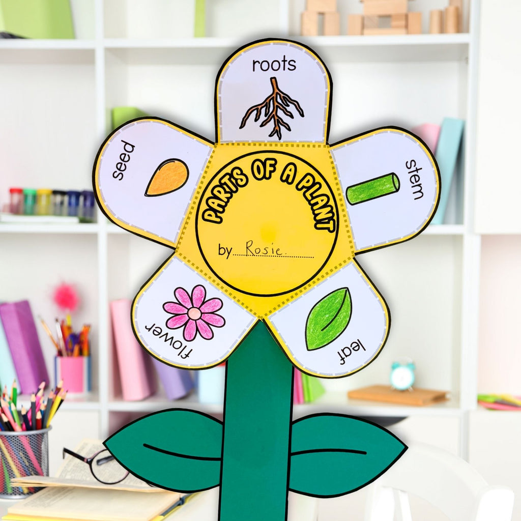 Parts of a plant flower craft activity and worksheet