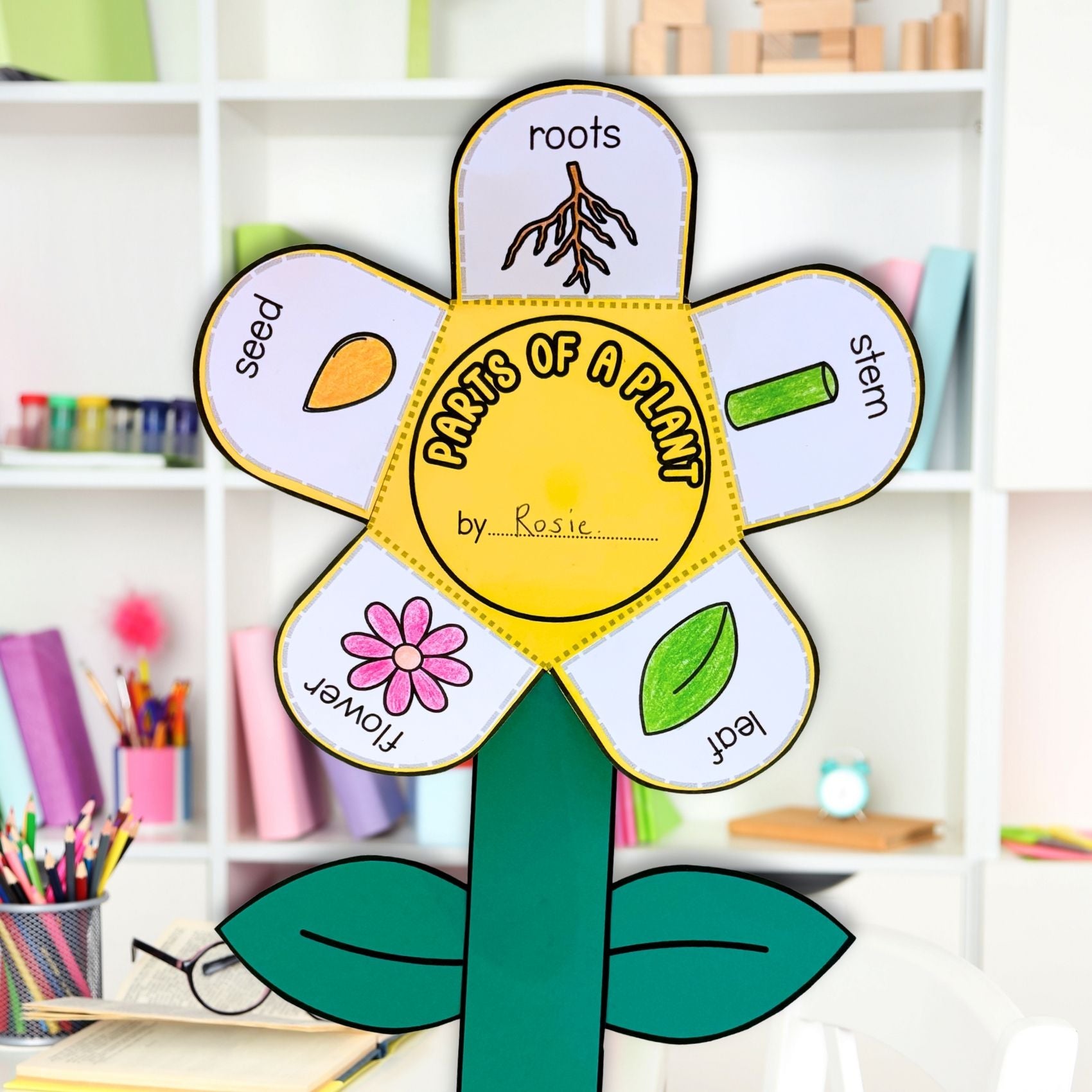 Parts of a plant flower craft activity and worksheet