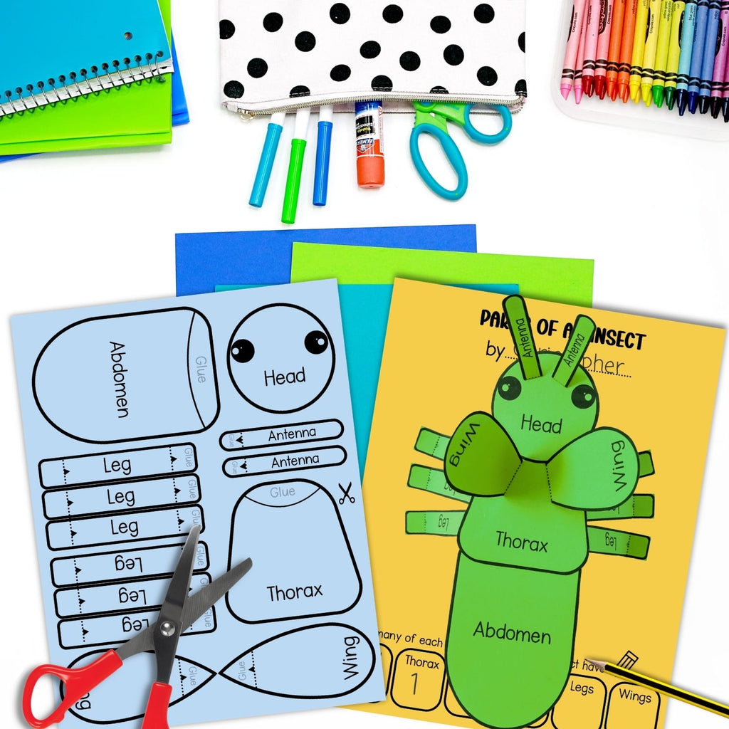Body parts of an insect build a 3D bug science craft activity