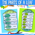 Parts of a leaf cut and paste folding worksheet craft activity