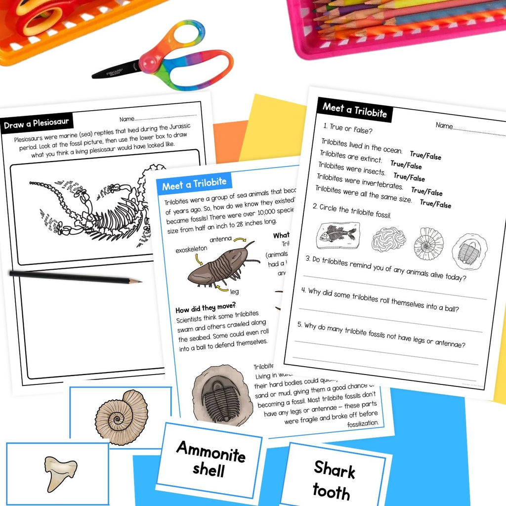 Fossils worksheets, activities, sorting, types of fossil