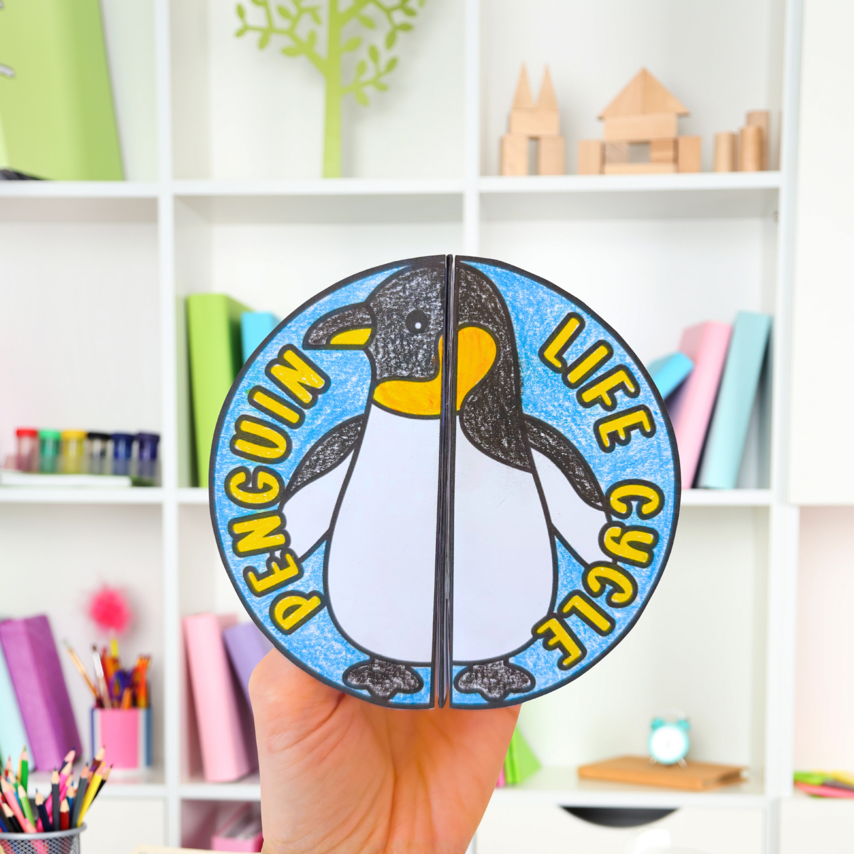 Life cycle of a penguin sequence and fold science craft activty