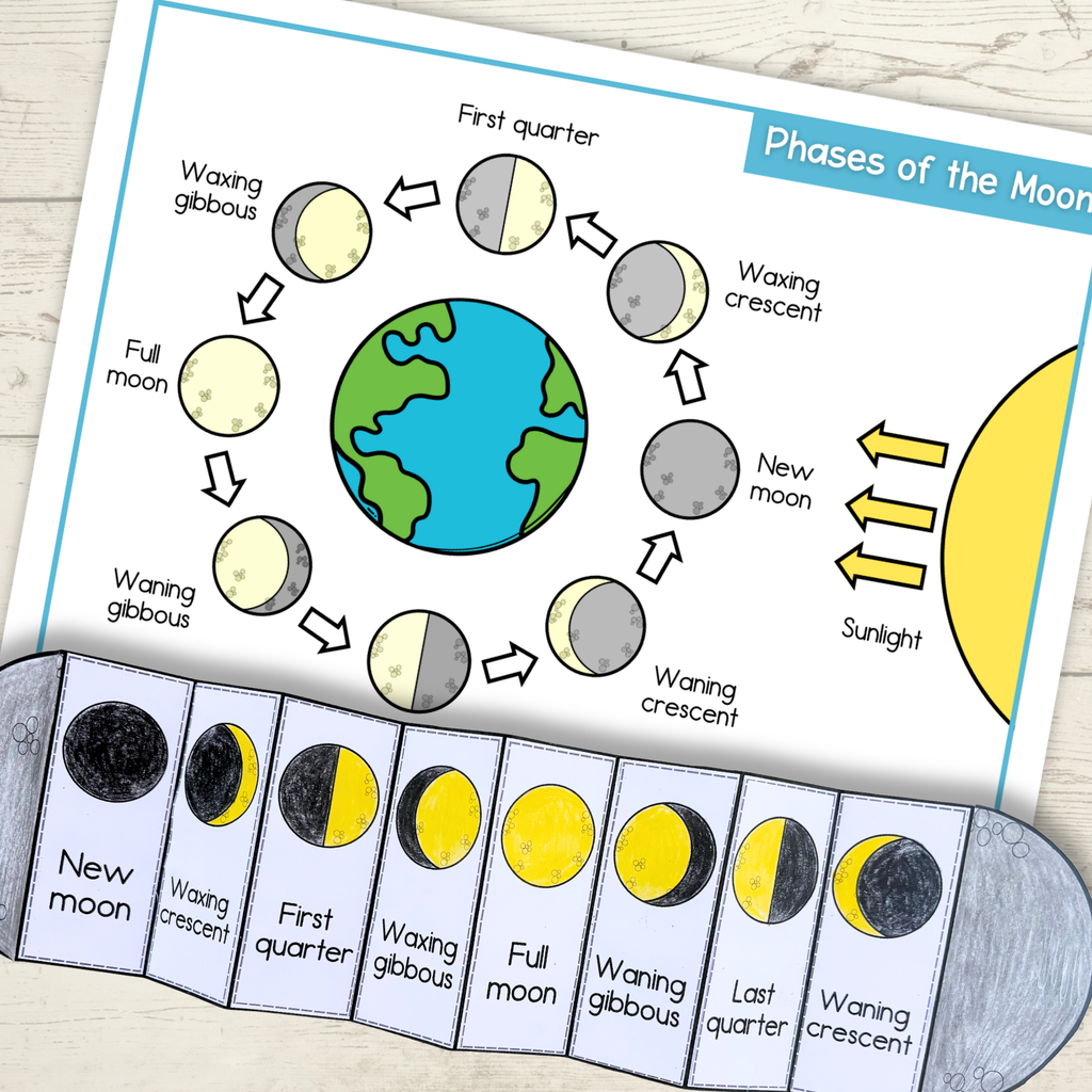 Phases of the moon sequence and fold science craft activity