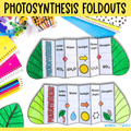Photosythesis sequence and fold plant science craft activity