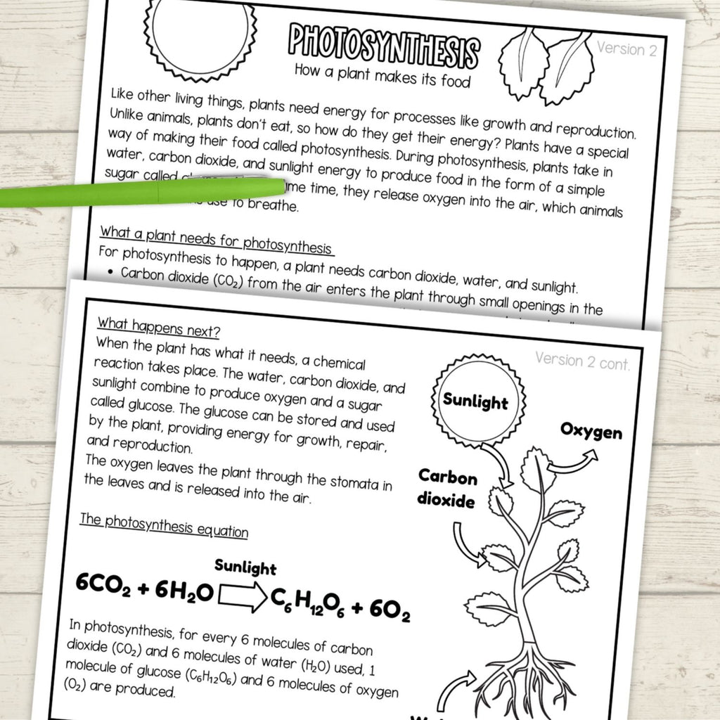 Photosythesis sequence and fold plant science craft activity