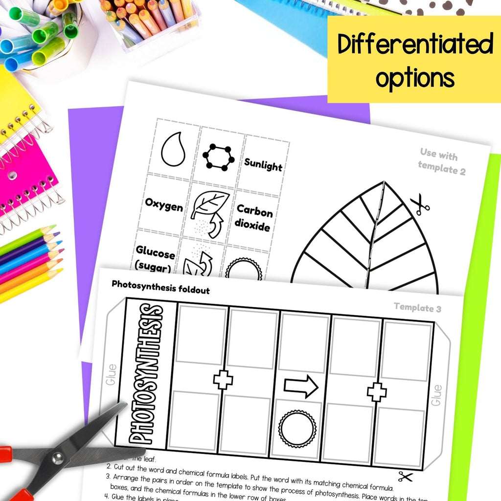 Photosythesis sequence and fold plant science craft activity