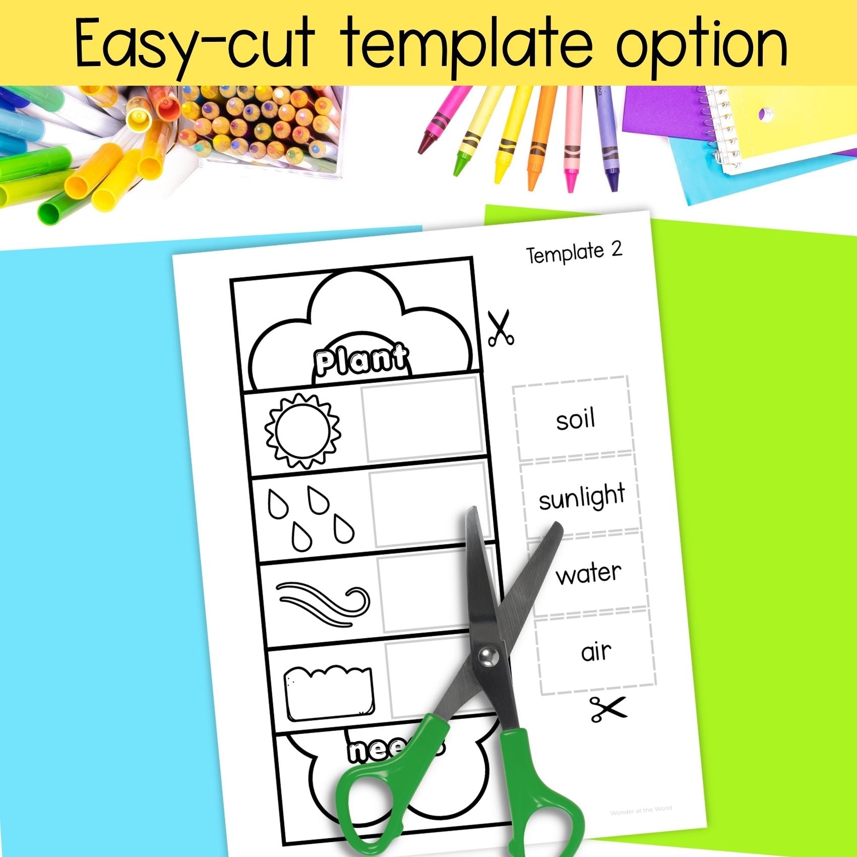 Plant needs match and fold flower craft
