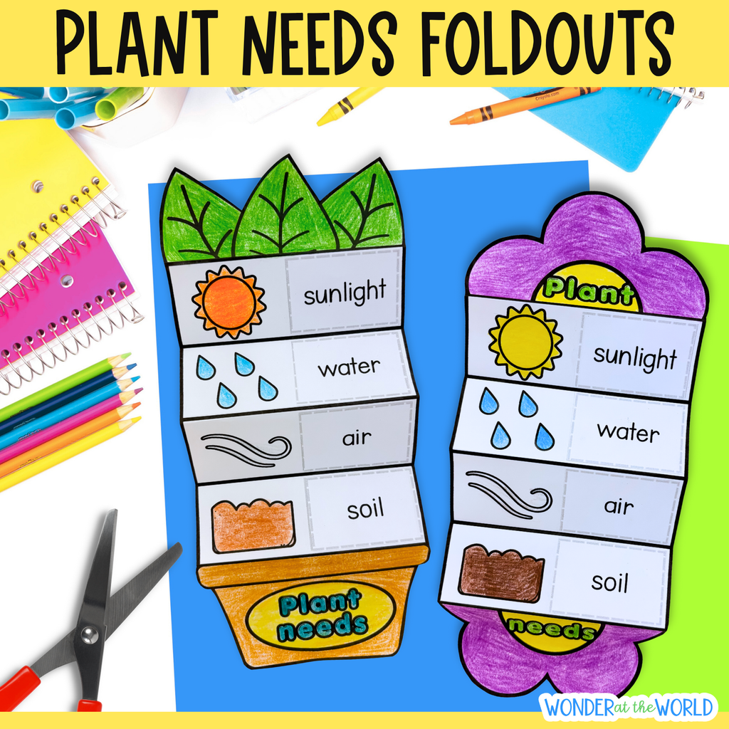 Plant needs match and fold flower craft