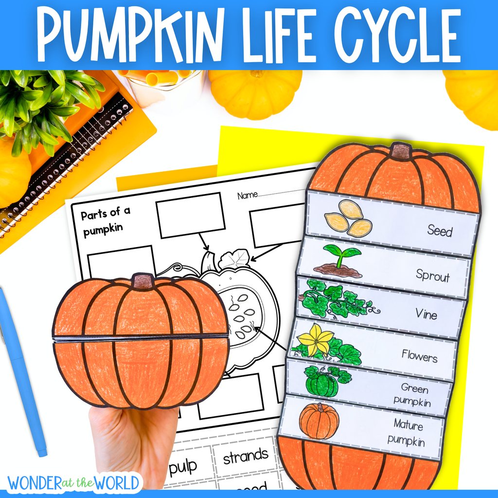 A hand holds a printed pumpkin life cycle worksheet and cutout pumpkin illustration over a matching labeled foldable craft titled 'Pumpkin Life Cycle.' The foldable craft shows stages from seed to mature pumpkin with autumn-themed props around it.