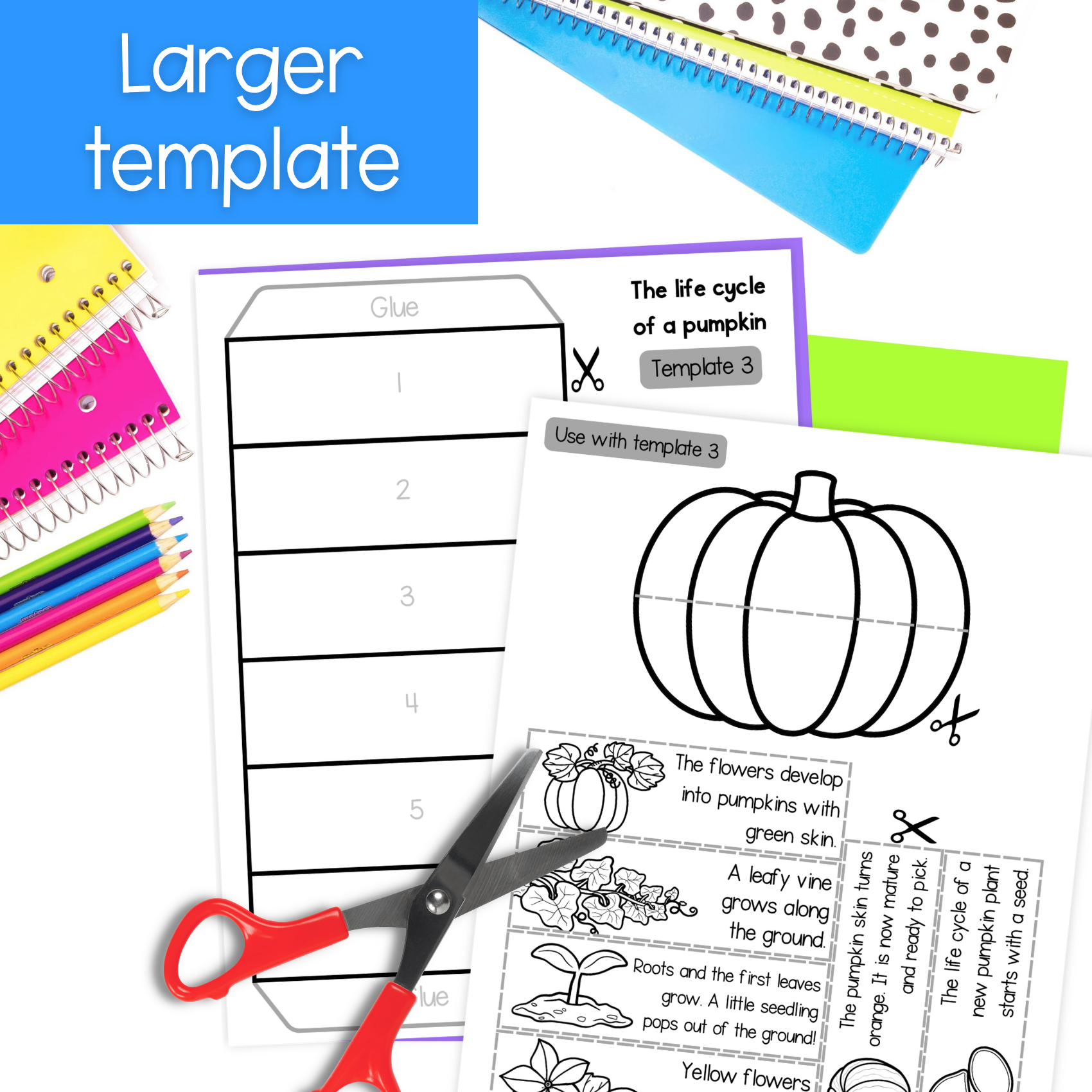 Life cycle of a pumpkin sequence and fold science craft activity
