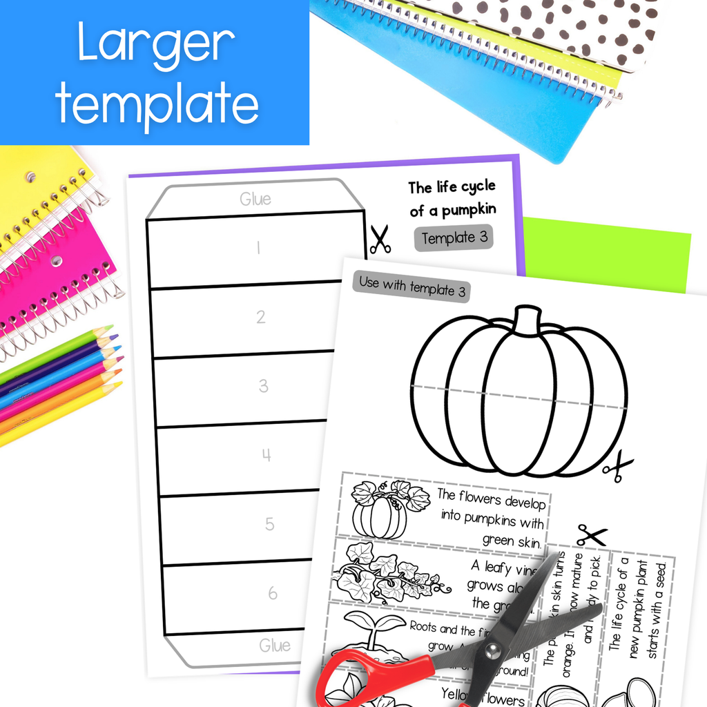 Educational craft featuring a pumpkin life cycle foldable activity template, shown with scissors and school supplies on a white background.