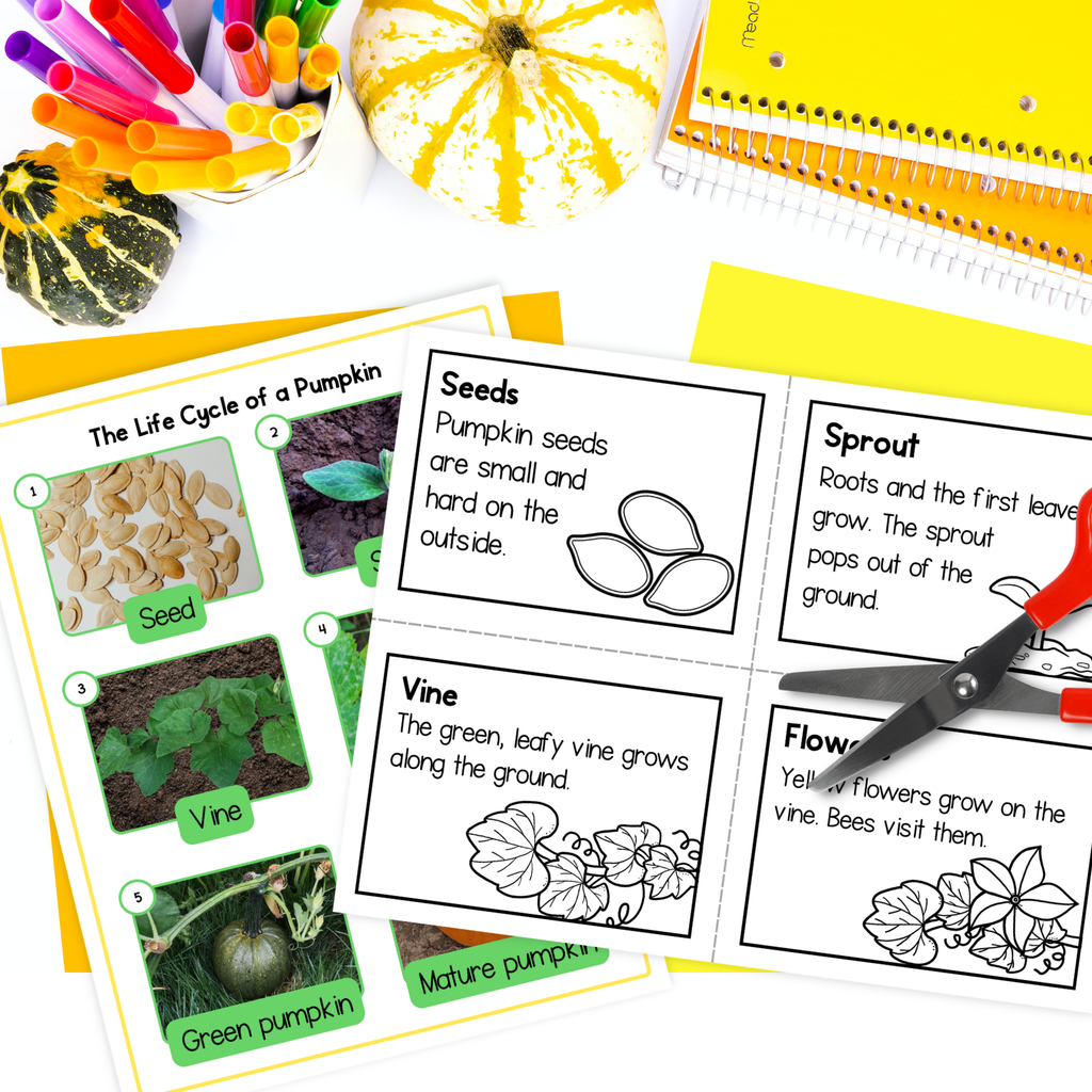 Educational pumpkin life cycle activity sheets displayed on a white desk with coloring supplies, including markers, a yellow notebook, and small pumpkins. The printed sheets show labeled stages: seed, vine, green pumpkin, and mature pumpkin, with black-and-white line drawings and photo inserts.