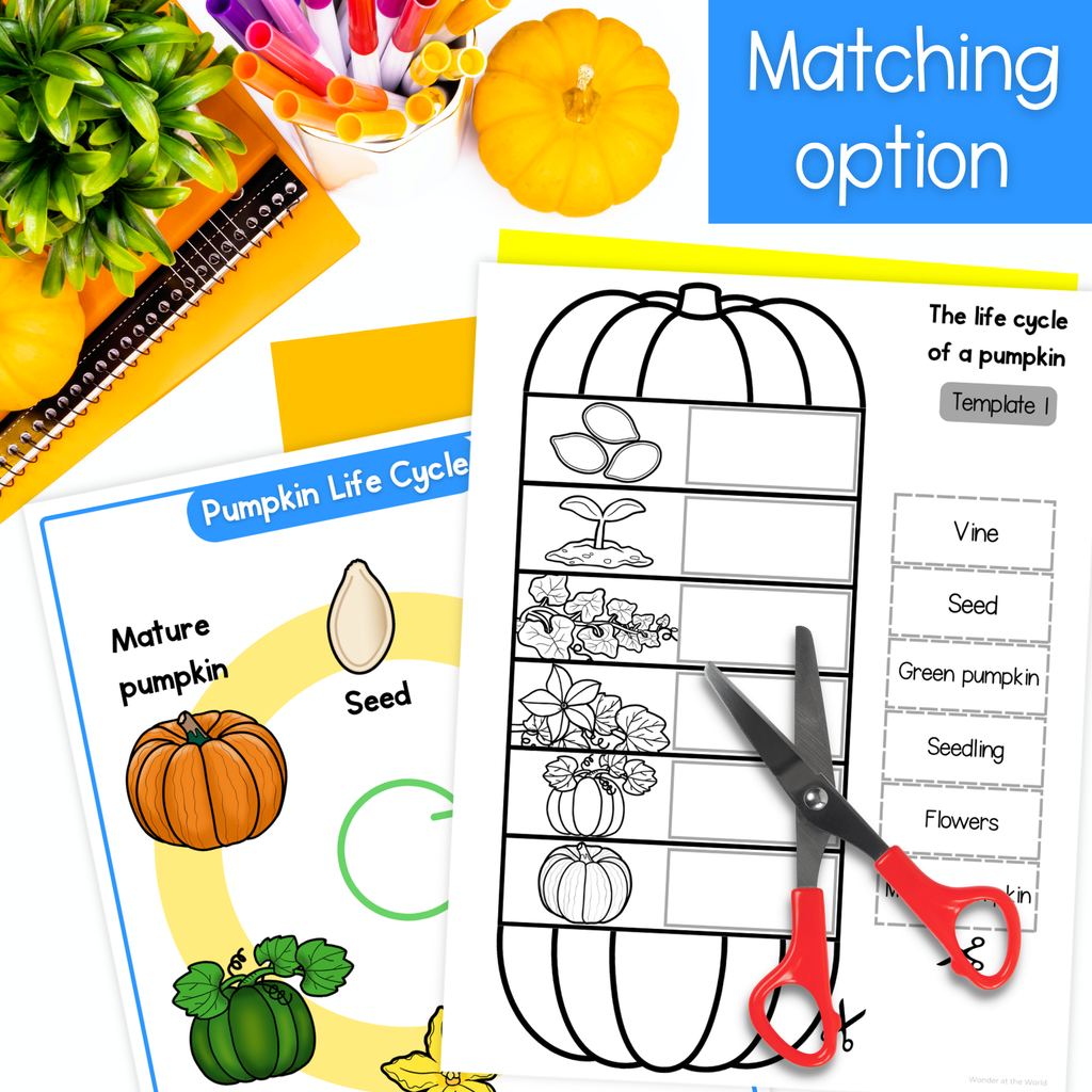 Life cycle of a pumpkin sequence and fold science craft activity