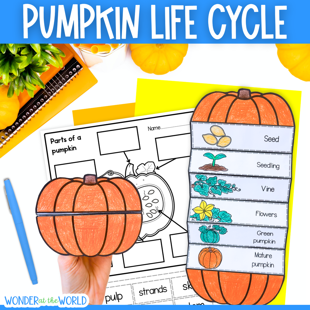 Life cycle of a pumpkin sequence and fold science craft activity