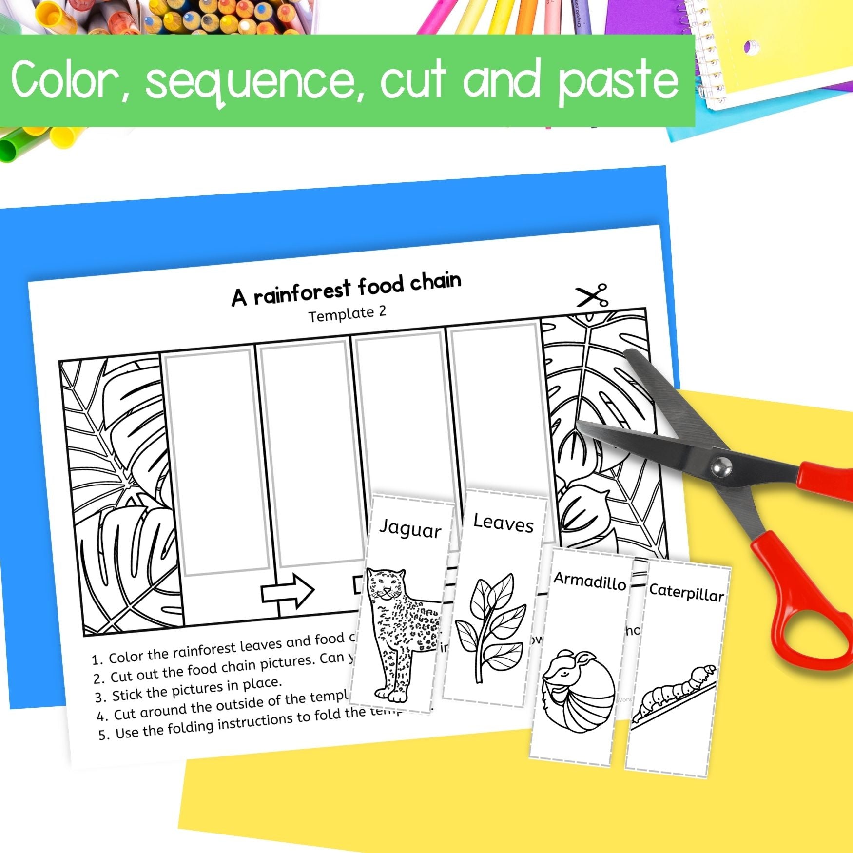 Food chains sequence and fold craft activity woodland ocean rainforest habitats