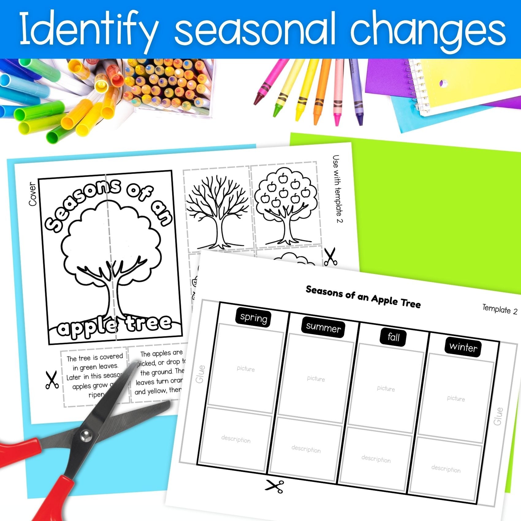 The 4 seasons apple tree science craft activity