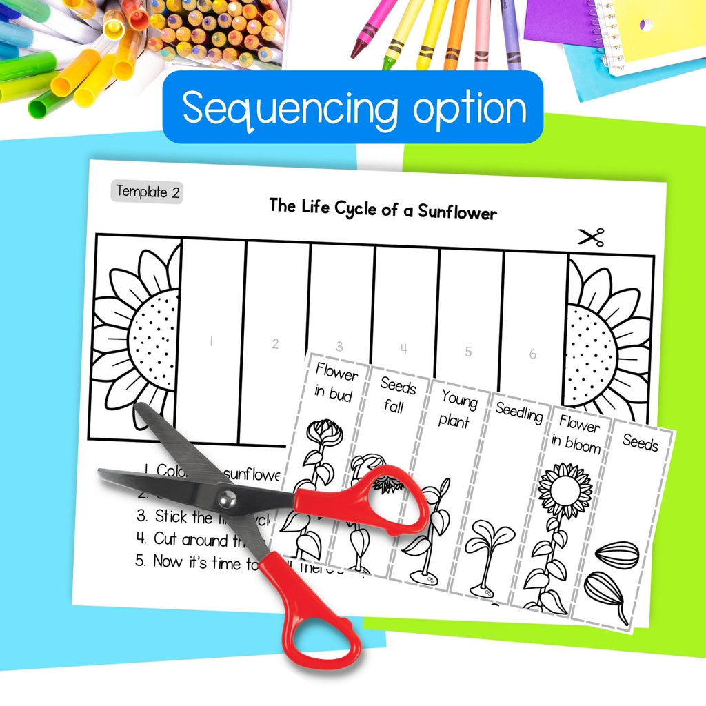 Sunflower life cycle sequence and fold science craft activity