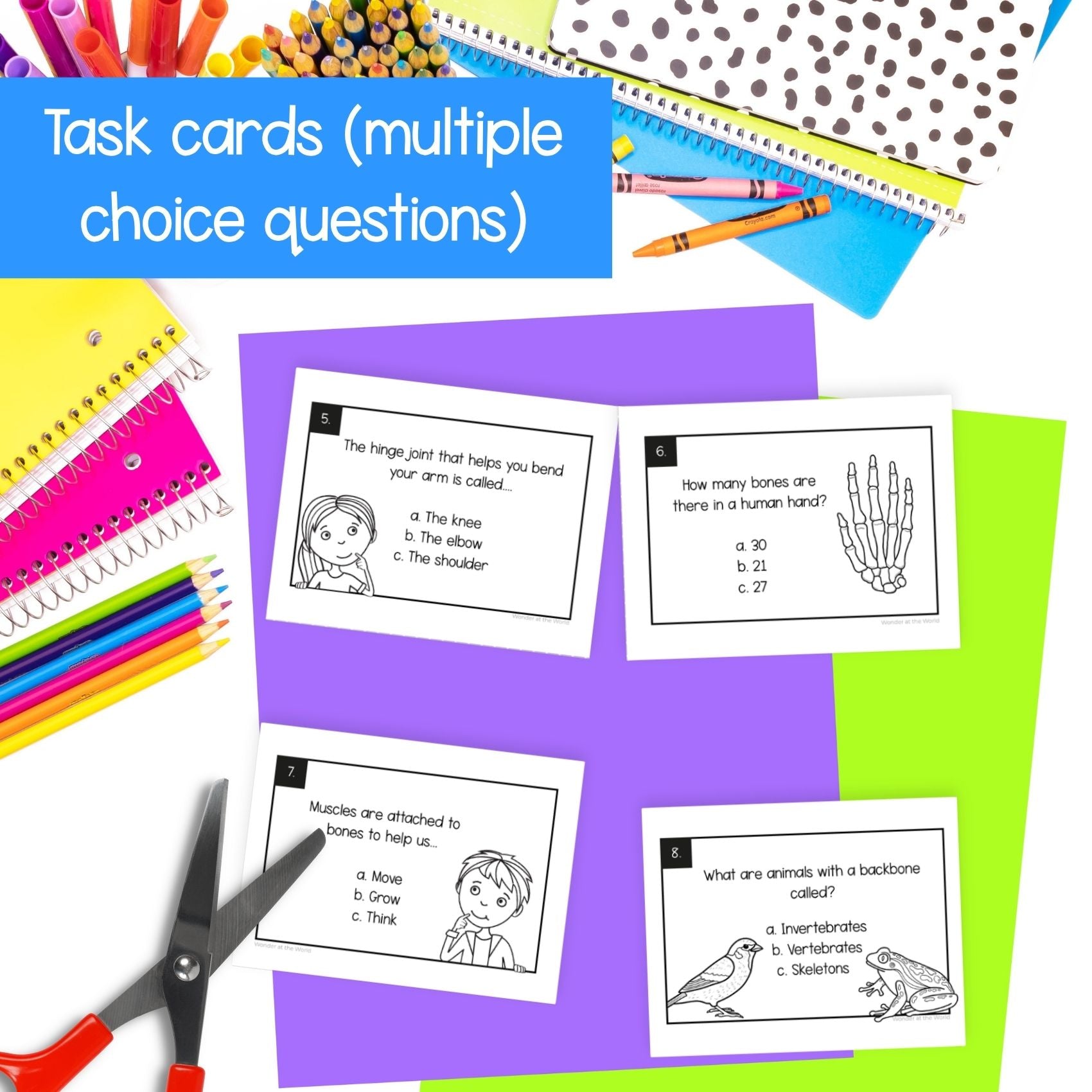 The human skeleton and bones skeletal system slides worksheets activities