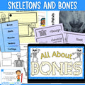 The human skeleton and bones skeletal system slides worksheets activities