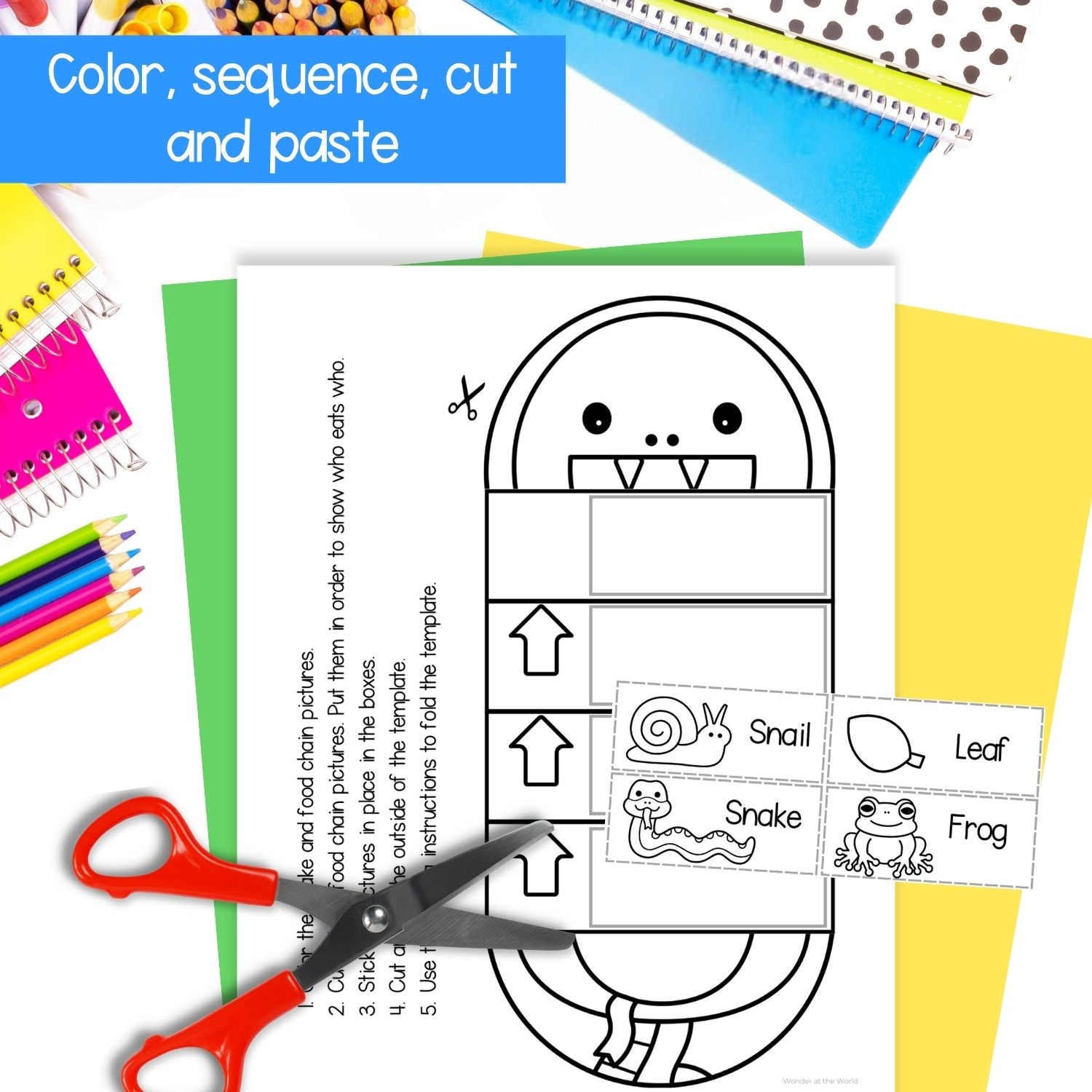 Food chains animal craft sequence and fold activity cut & paste shark bear lion