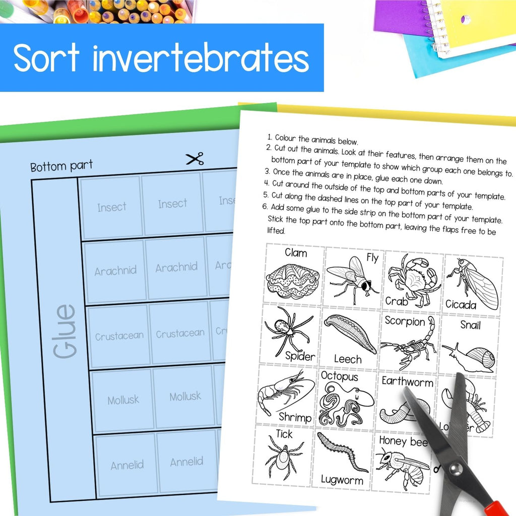 Invertebrates bugs insects classification cut and paste activities for interactive notebooks