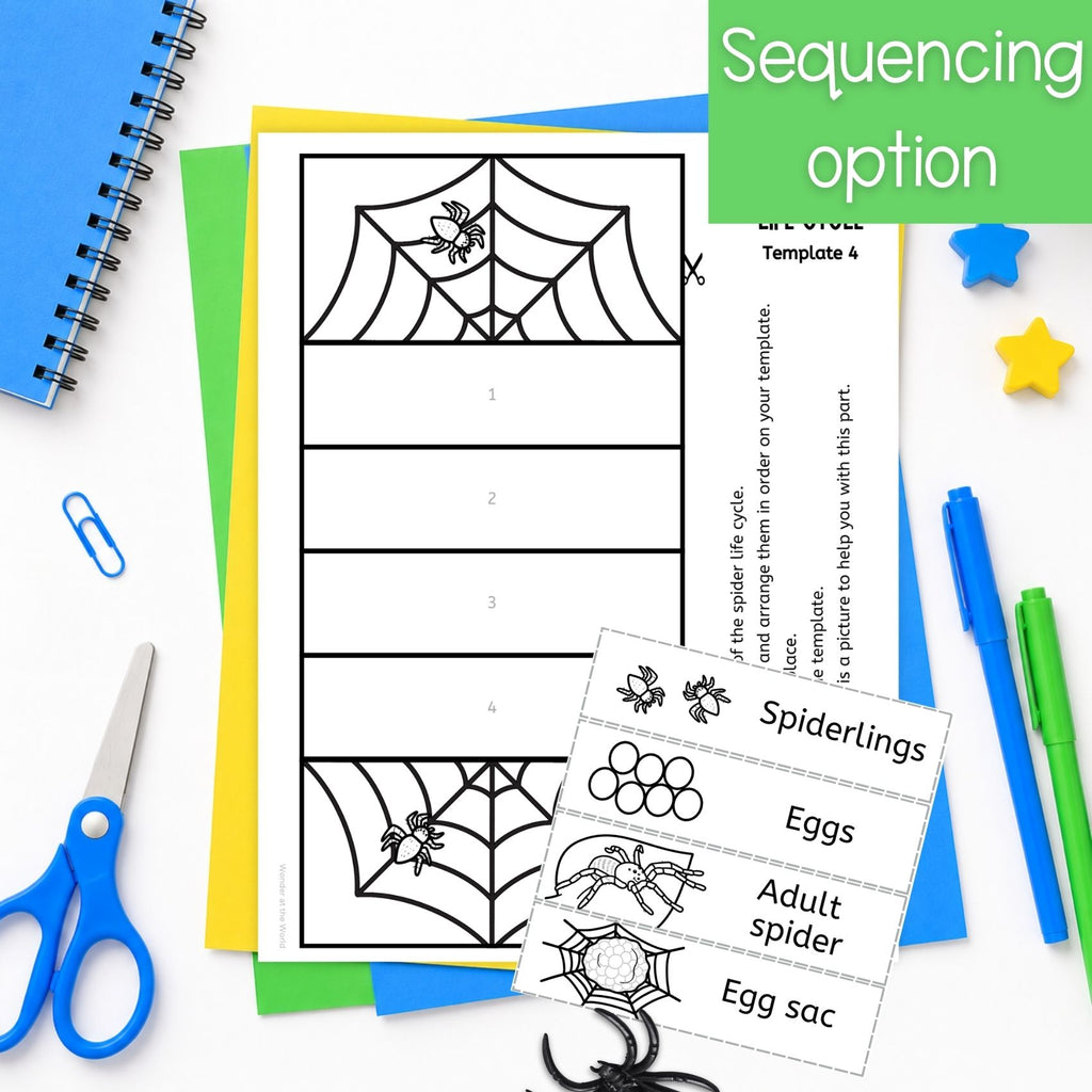 Life cycle of a spider sequence and fold science craft