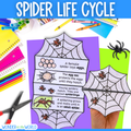 Life cycle of a spider sequence and fold science craft