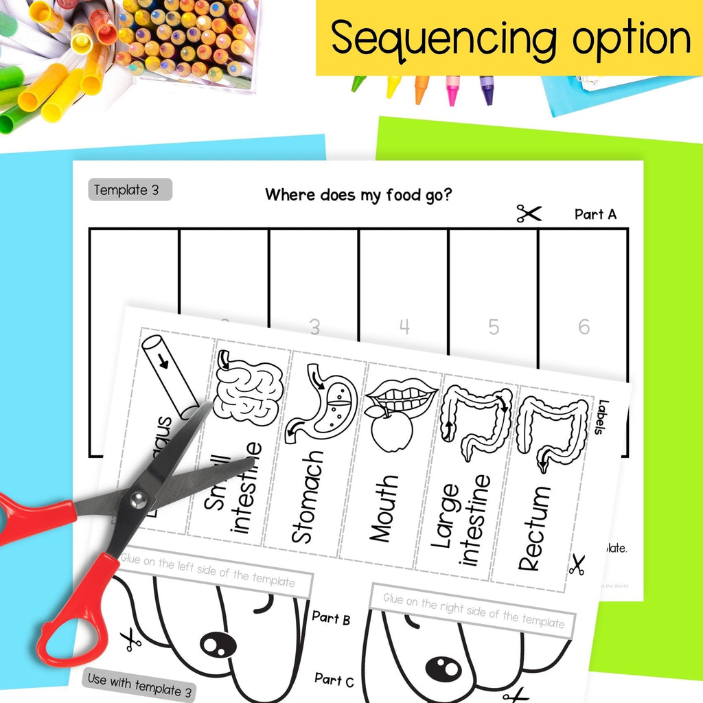 The digestive system sequence and fold science craft activity - poop