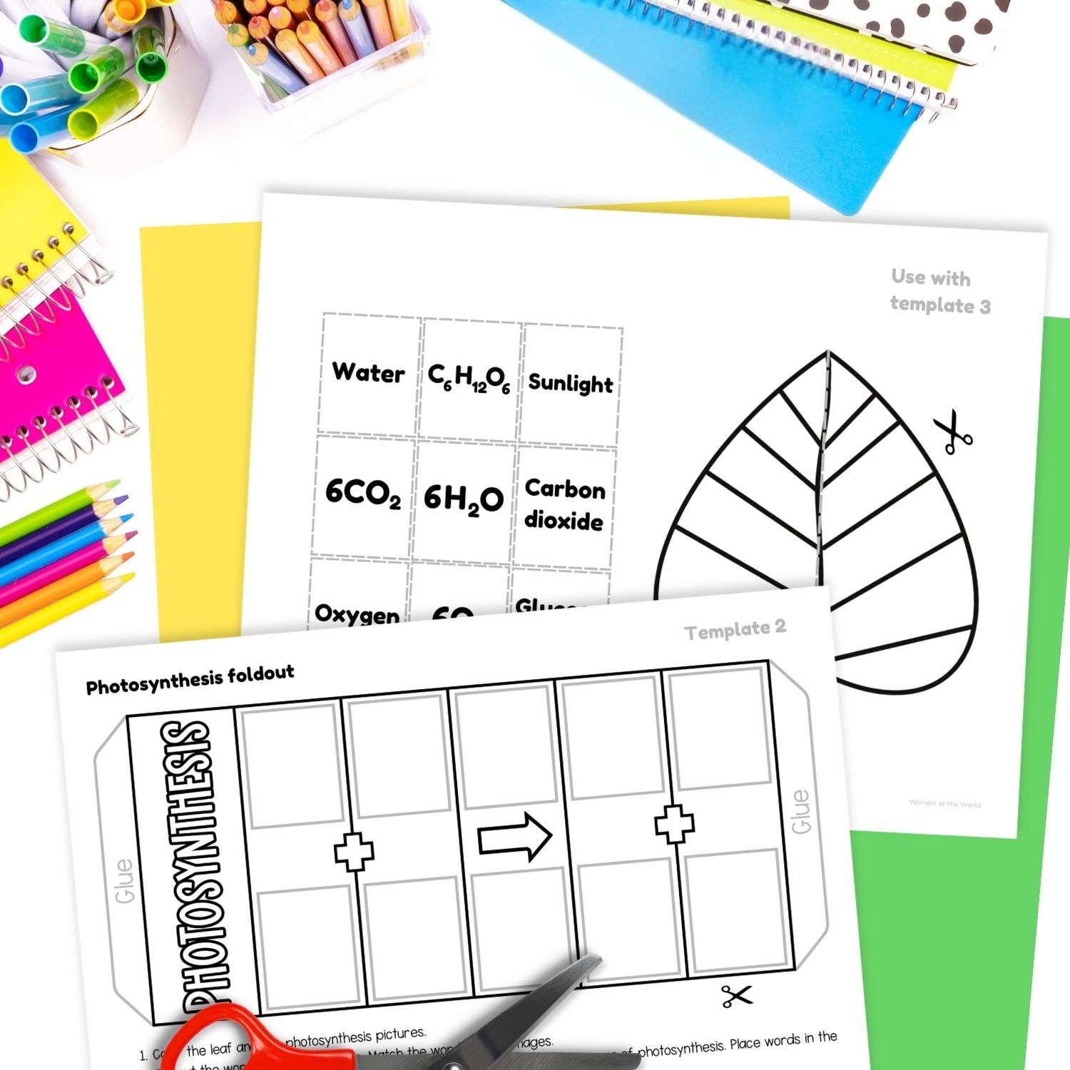 Photosythesis sequence and fold plant science craft activity