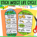 Life cycle of a stick insect sequence and fold science craft
