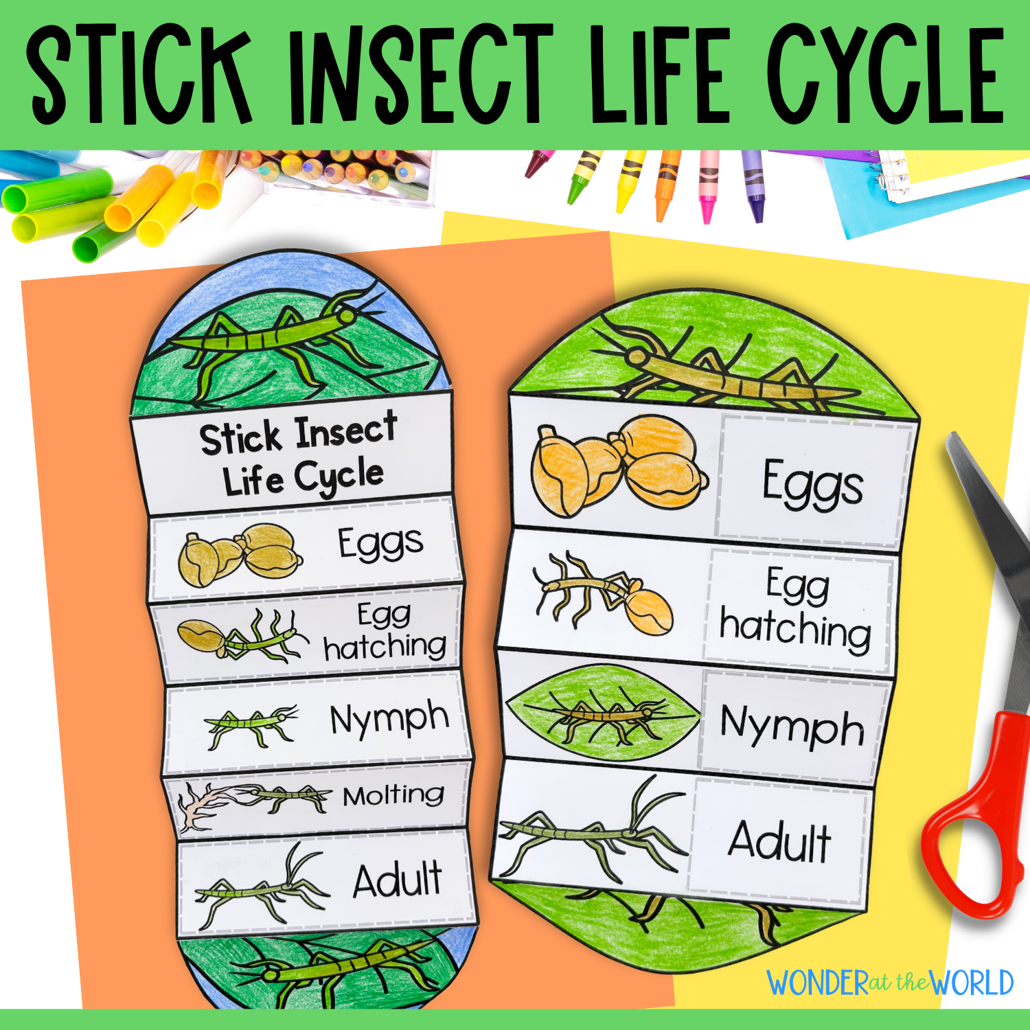 Life cycle of a stick insect sequence and fold science craft