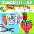 Strawberry plant life cycle sequence and fold sciene craft activity