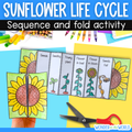 Sunflower life cycle sequence and fold science craft activity