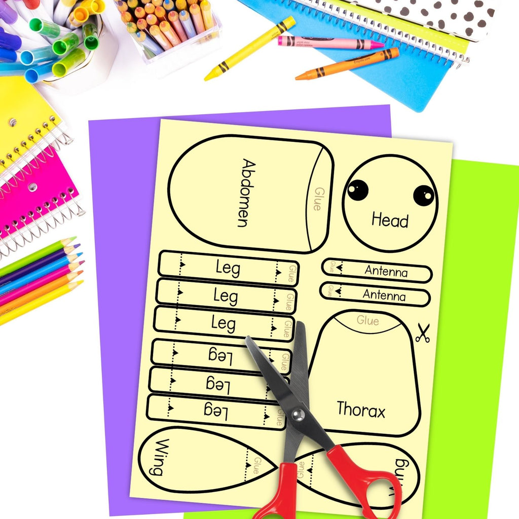 Body parts of an insect build a 3D bug science craft activity