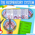 The respiratory system human body cut and paste sequencing activity and labeling