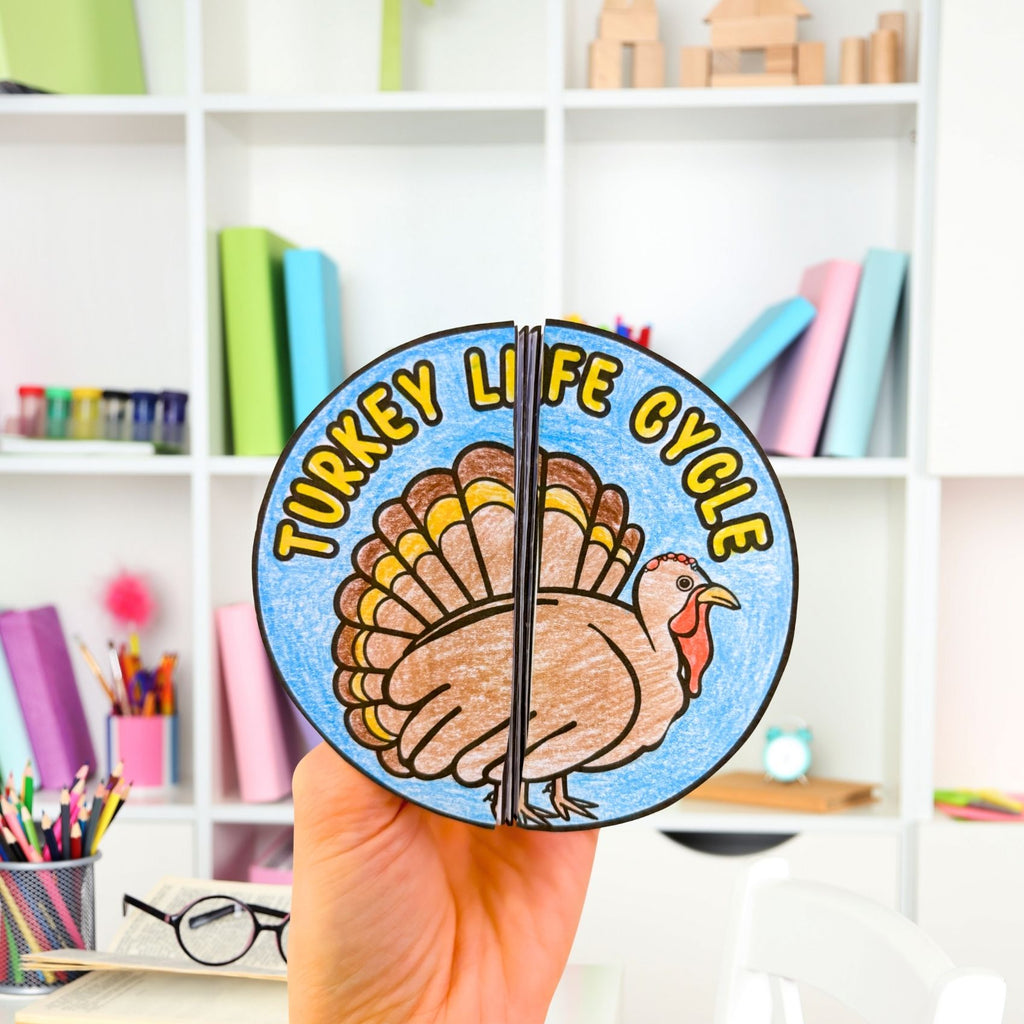 A hand holding a circular, two-piece craft  featuring a hand-drawn turkey and the words 'TURKEY LIFE CYCLE' on a light blue background, with a blurred white shelving unit in the background.