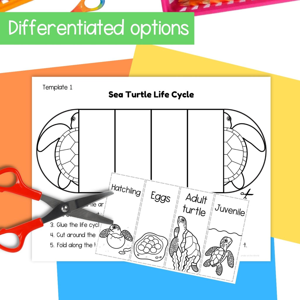 Sea turtle life cycle sequence and fold science craft activity