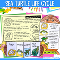 Sea turtle life cycle sequence and fold science craft activity