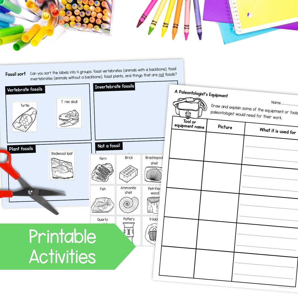 Fossils worksheets, activities, sorting, types of fossil