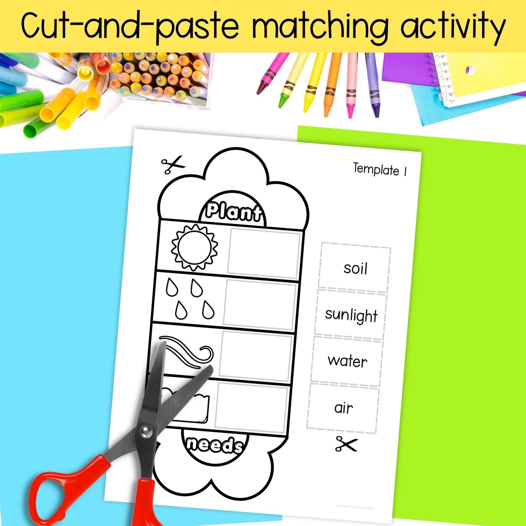 Plant needs match and fold flower craft