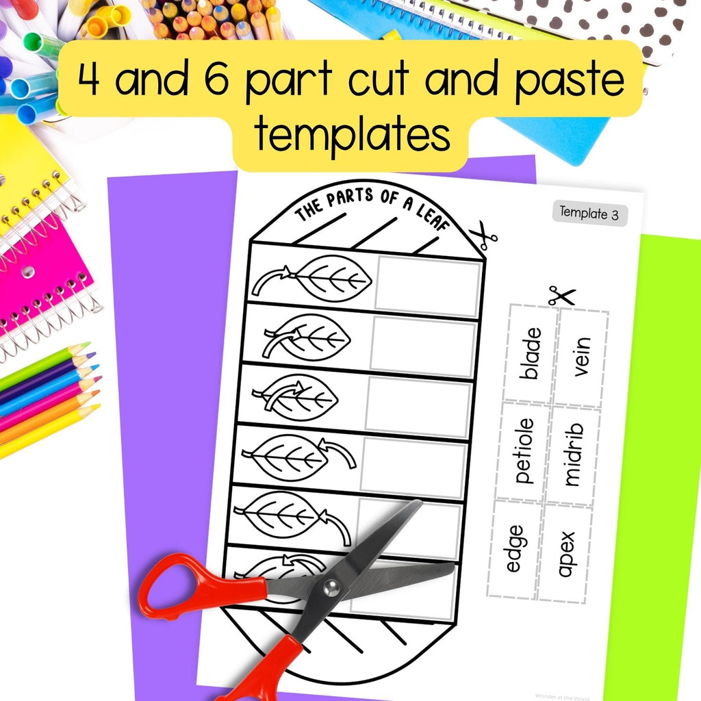 Parts of a leaf cut and paste folding worksheet craft activity