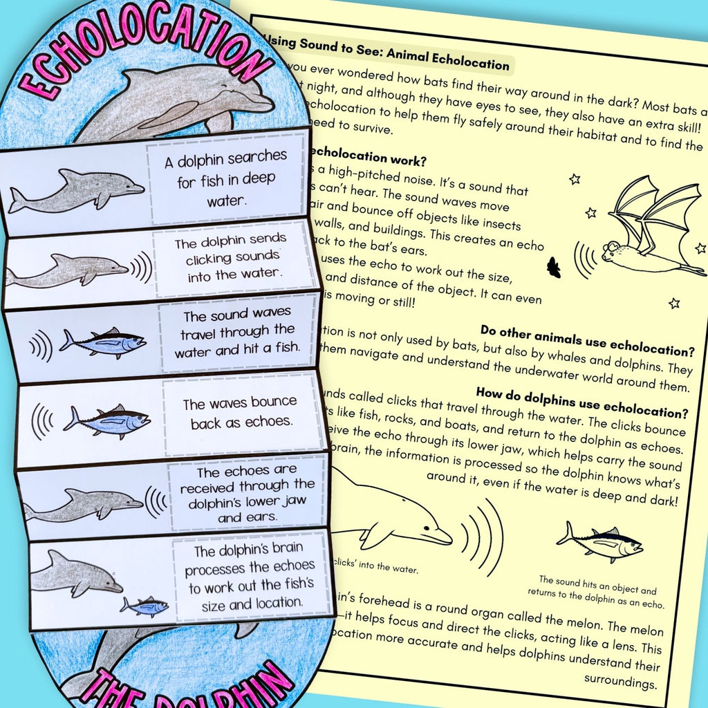 Animal echolocation sequence and fold science craft activity