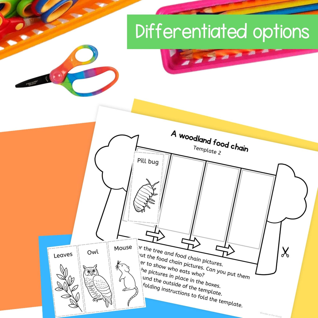 Food chains sequence and fold craft activity woodland ocean rainforest habitats