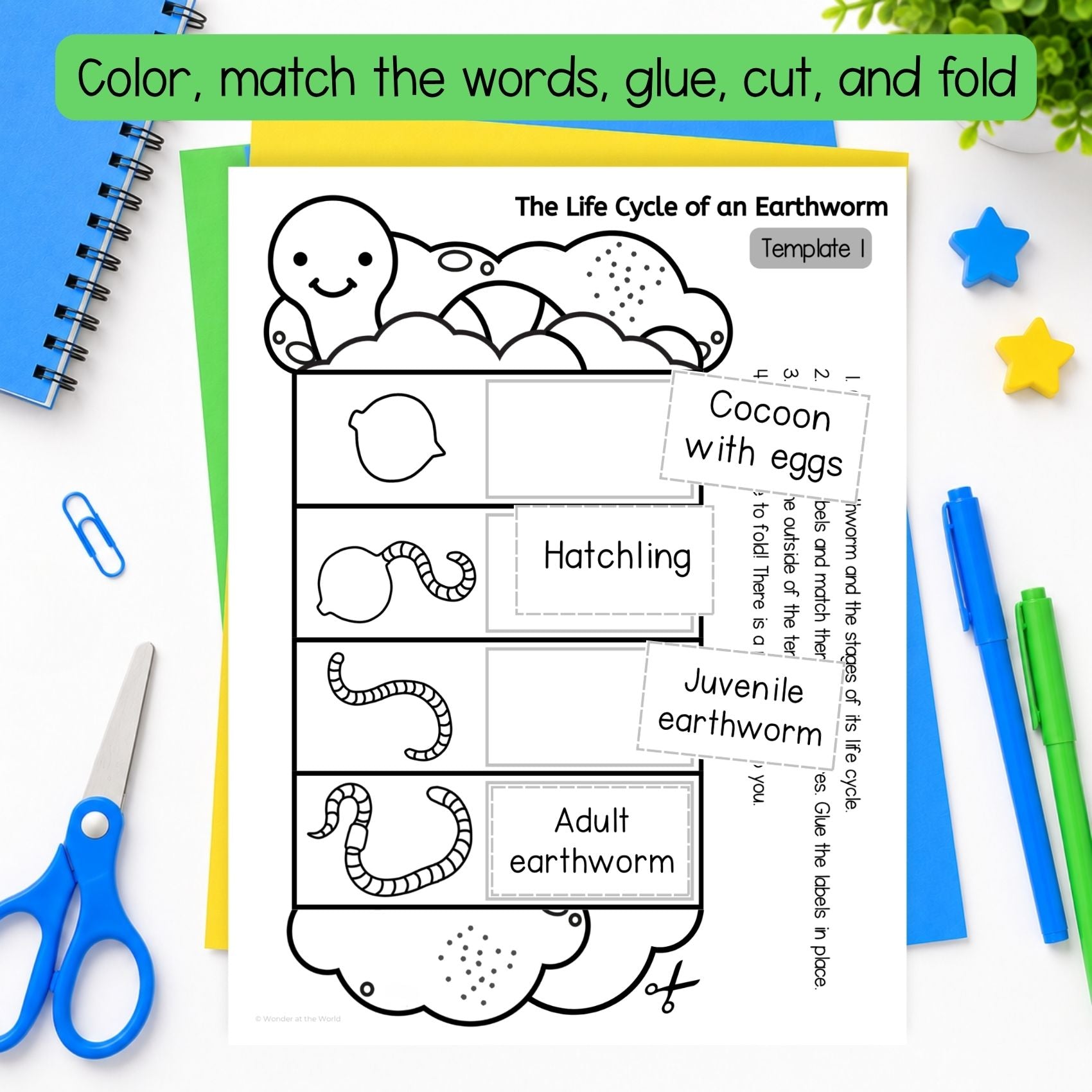 Earthworm life cycle sequence and fold science craft activity